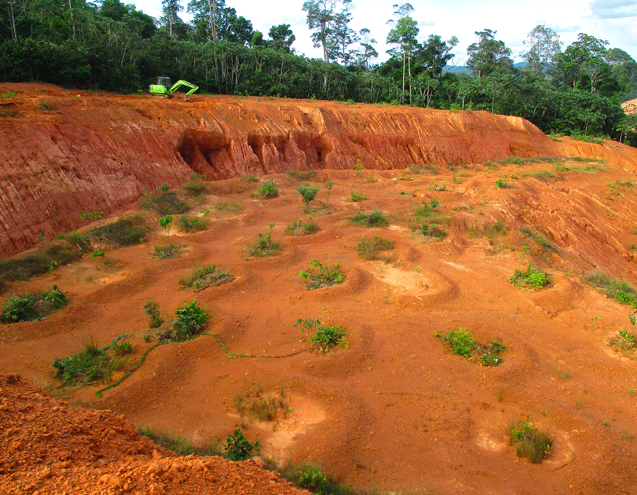 Dynamic Content Image