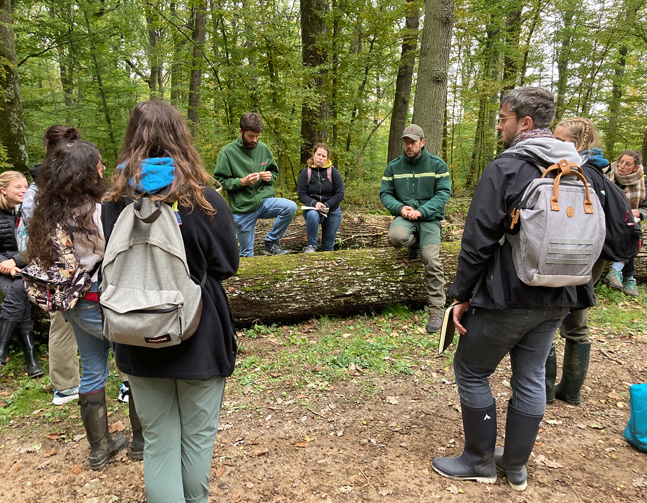 Dynamic Content Image