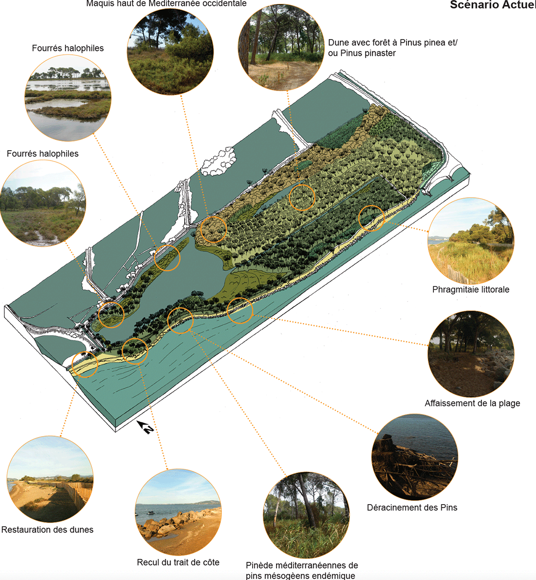 Dynamic Content Image