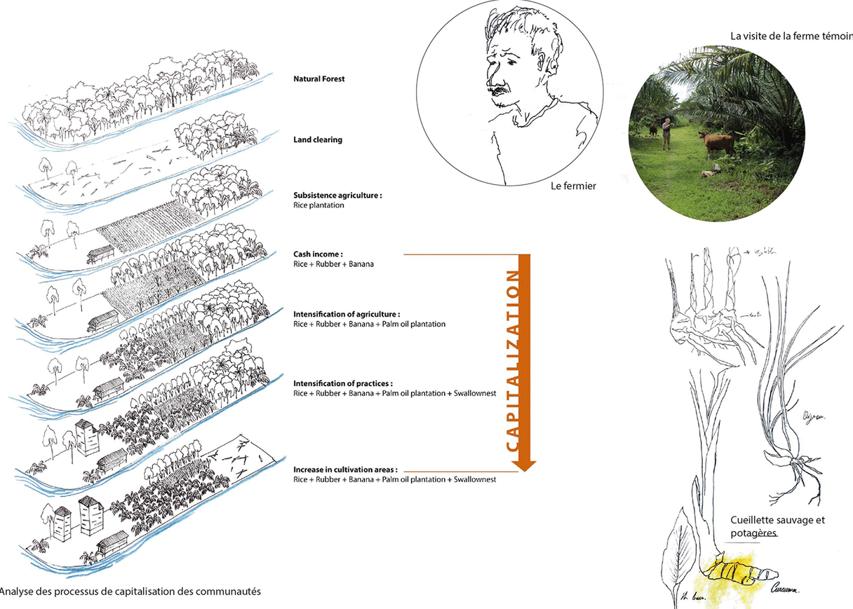 Dynamic Content Image