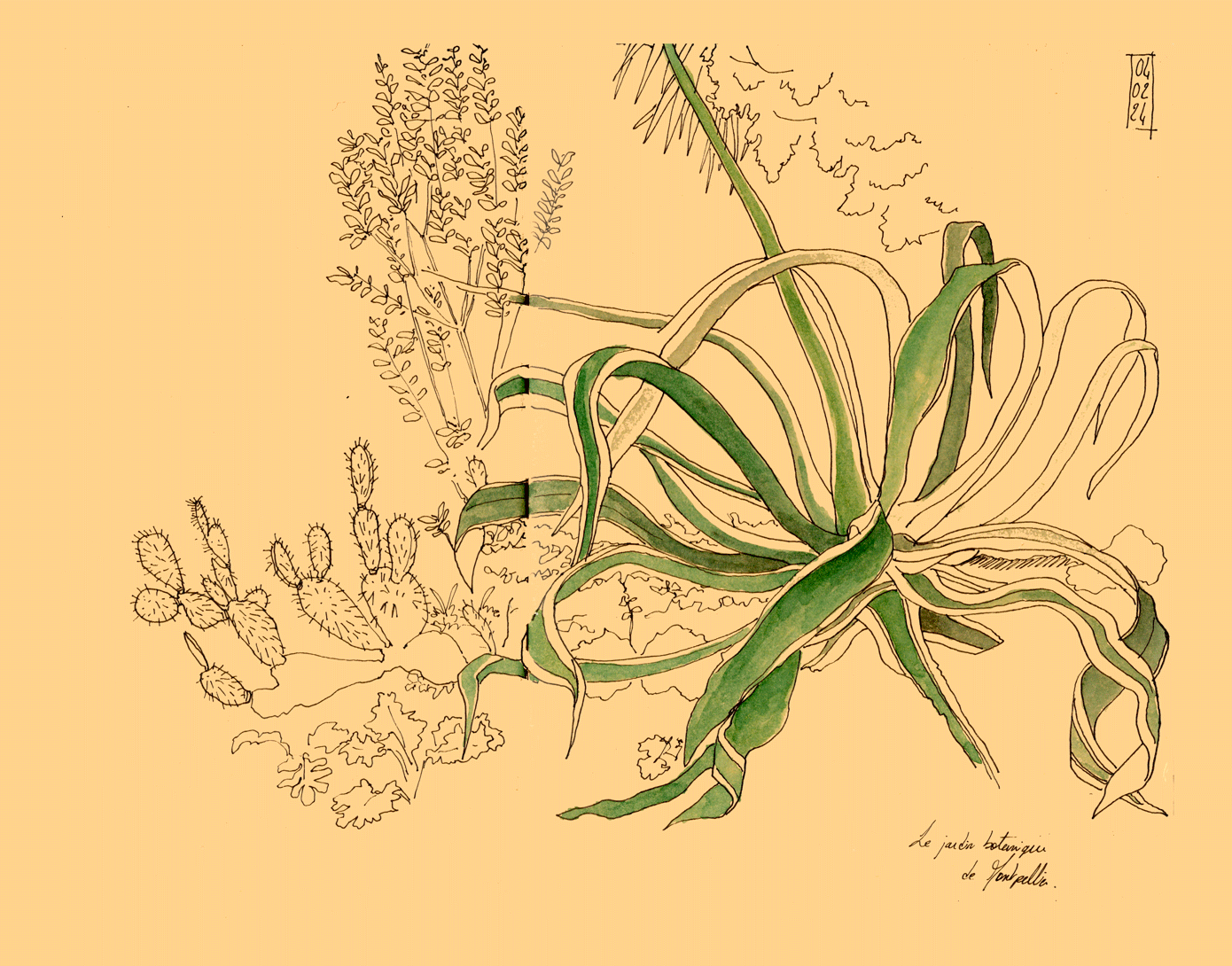 Dynamic Content Image