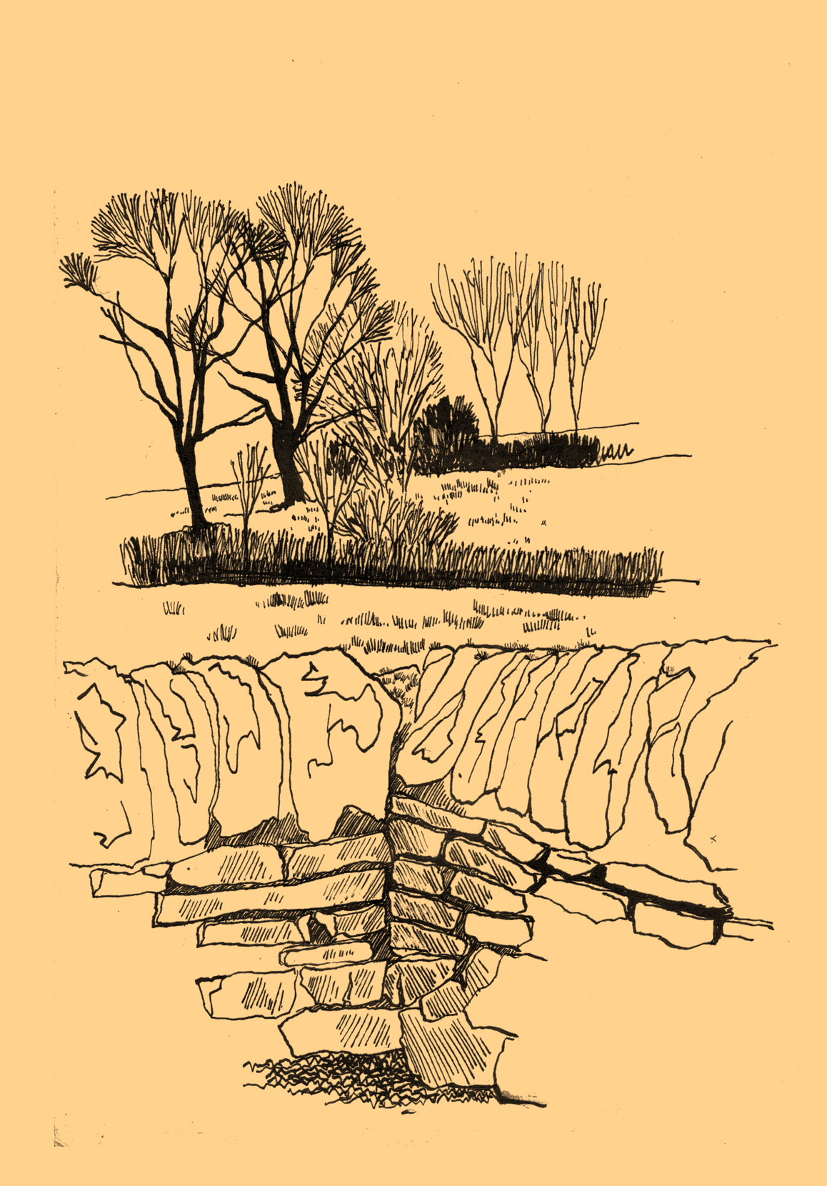 Dynamic Content Image