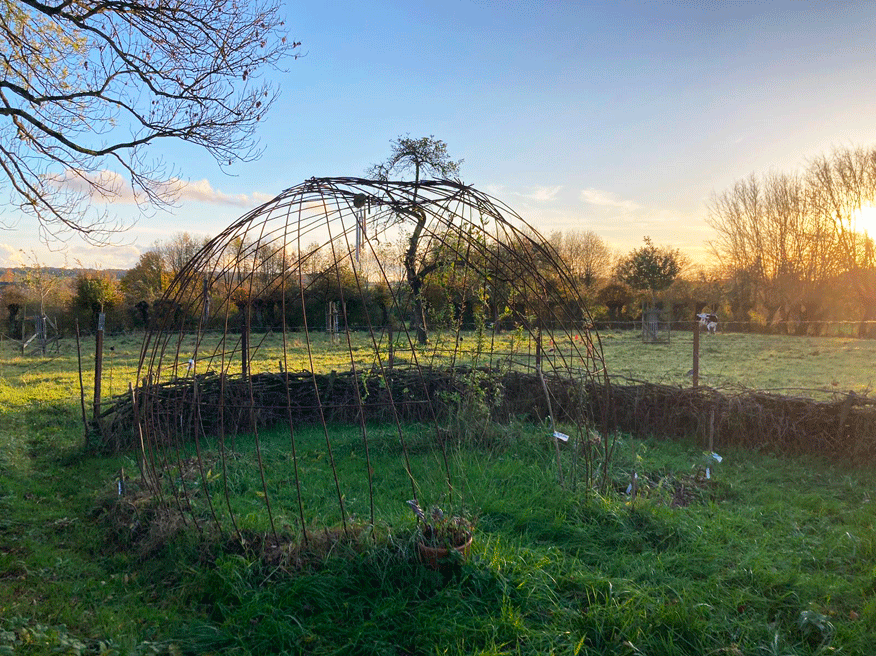 Dynamic Content Image