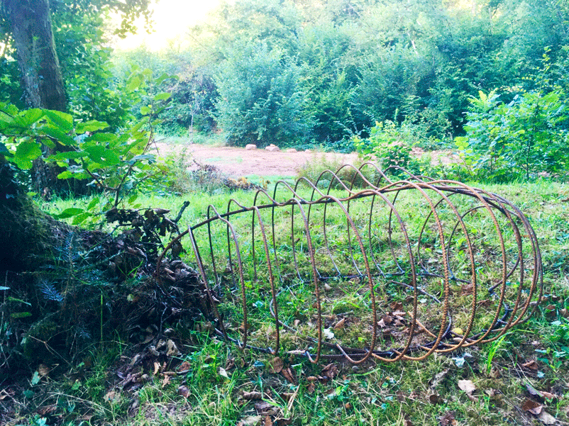 Dynamic Content Image