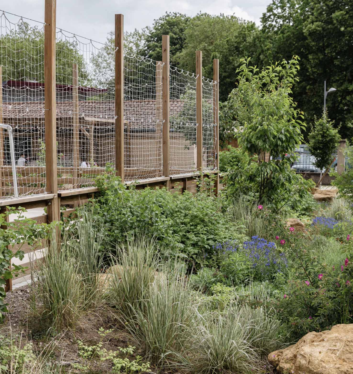 Dynamic Content Image