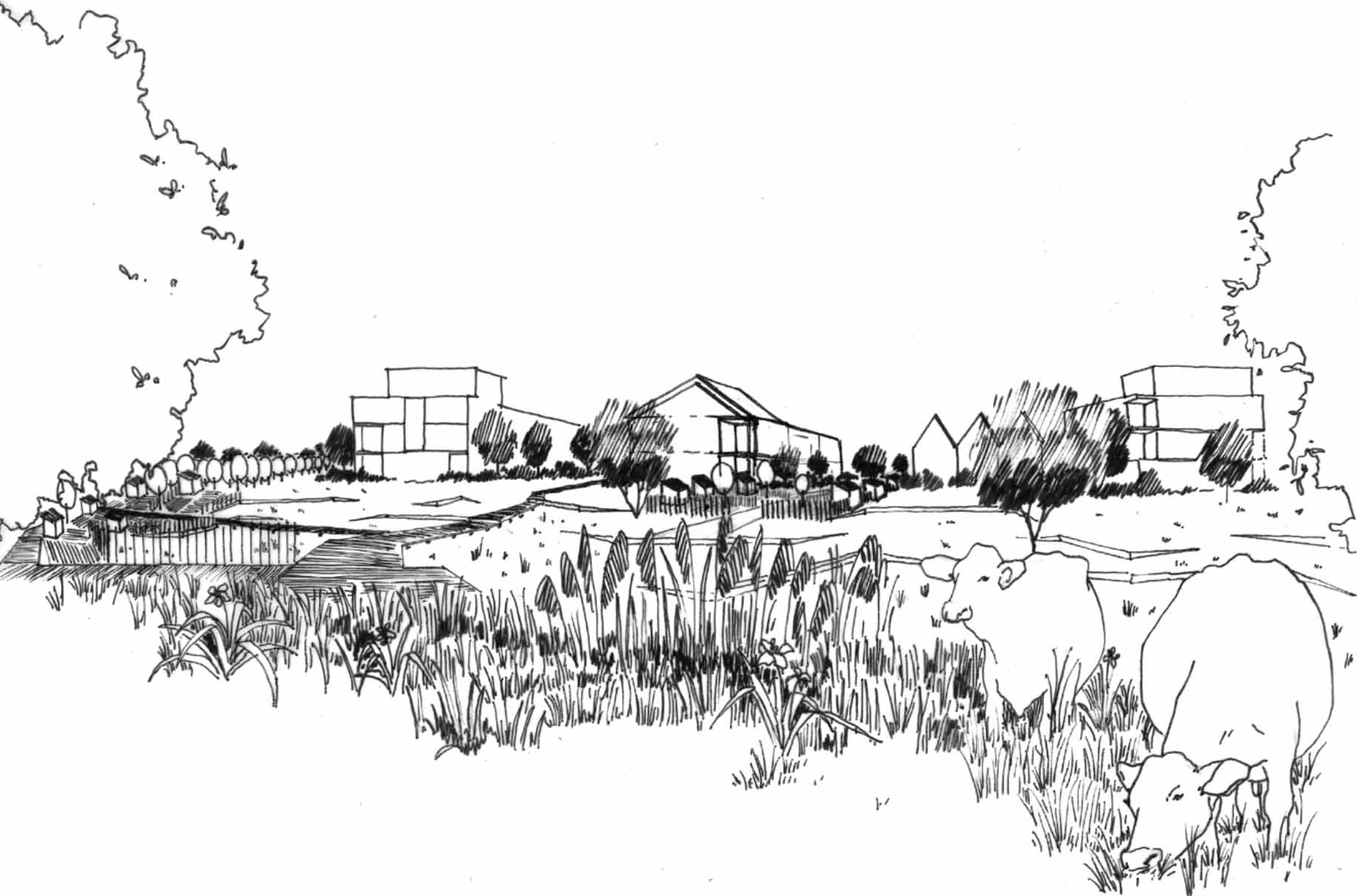 Dynamic Content Image