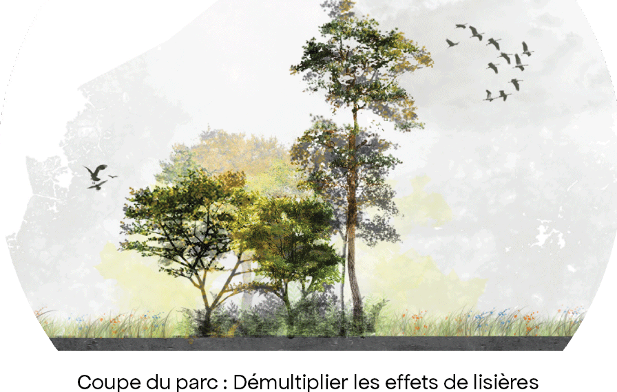 Dynamic Content Image