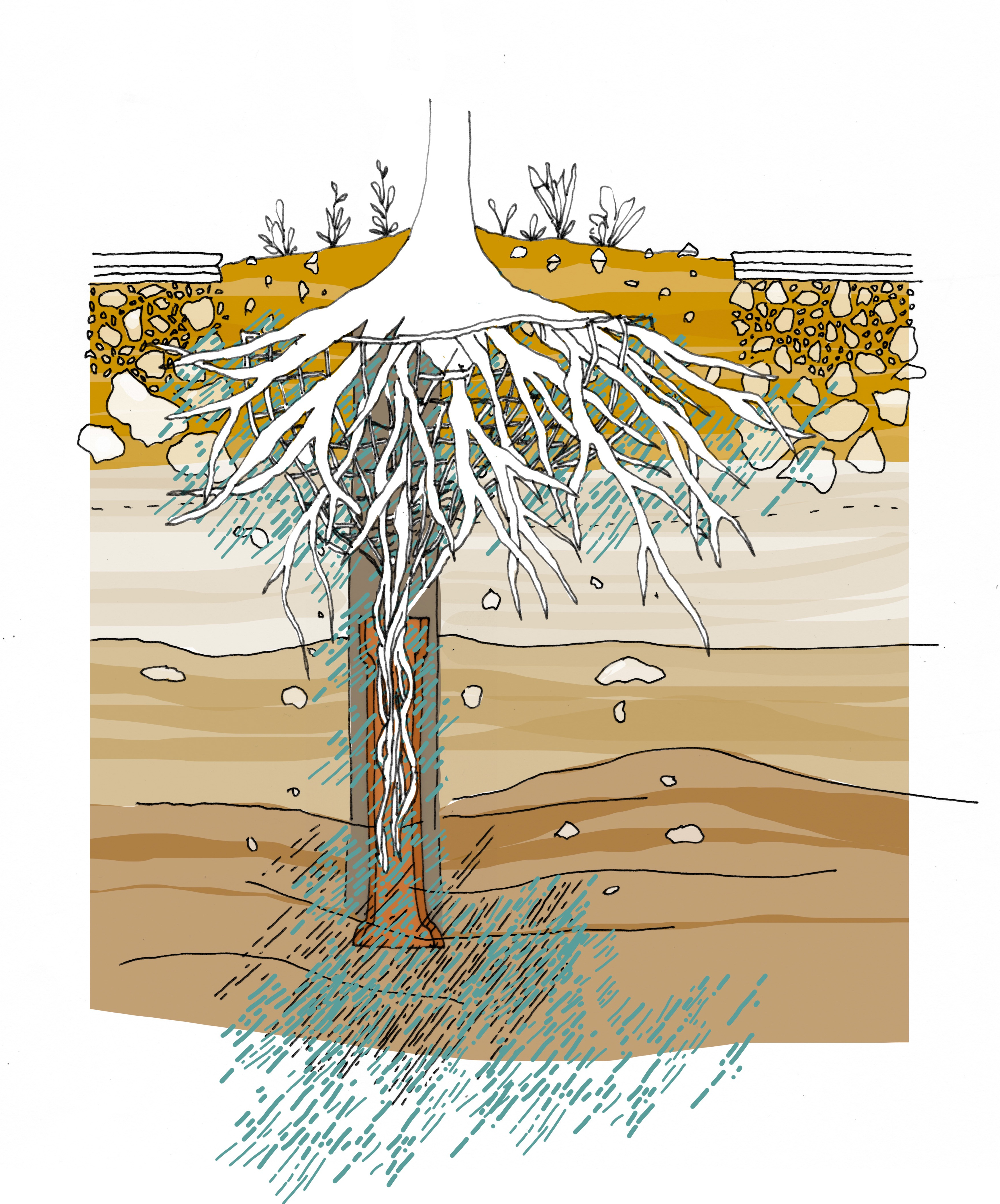 Dynamic Content Image