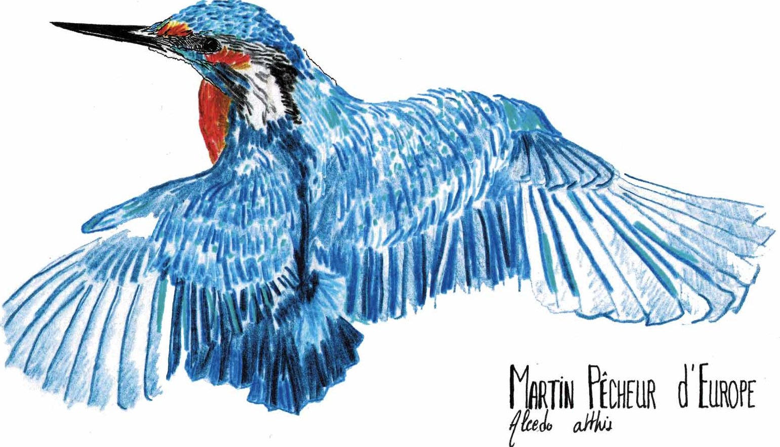 Dynamic Content Image